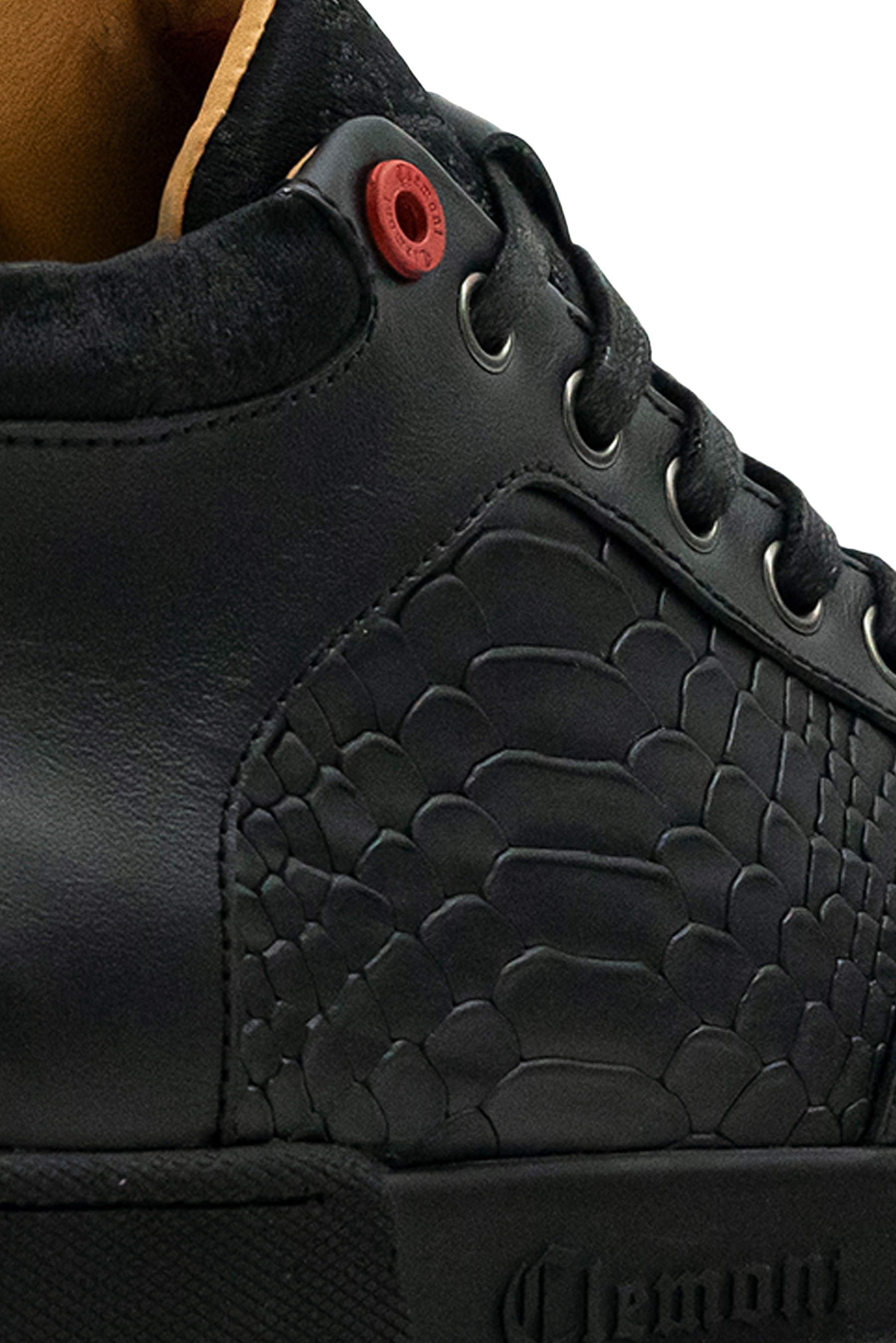 ZAPATO PROVVIDENZA NEGRO CLEMONT