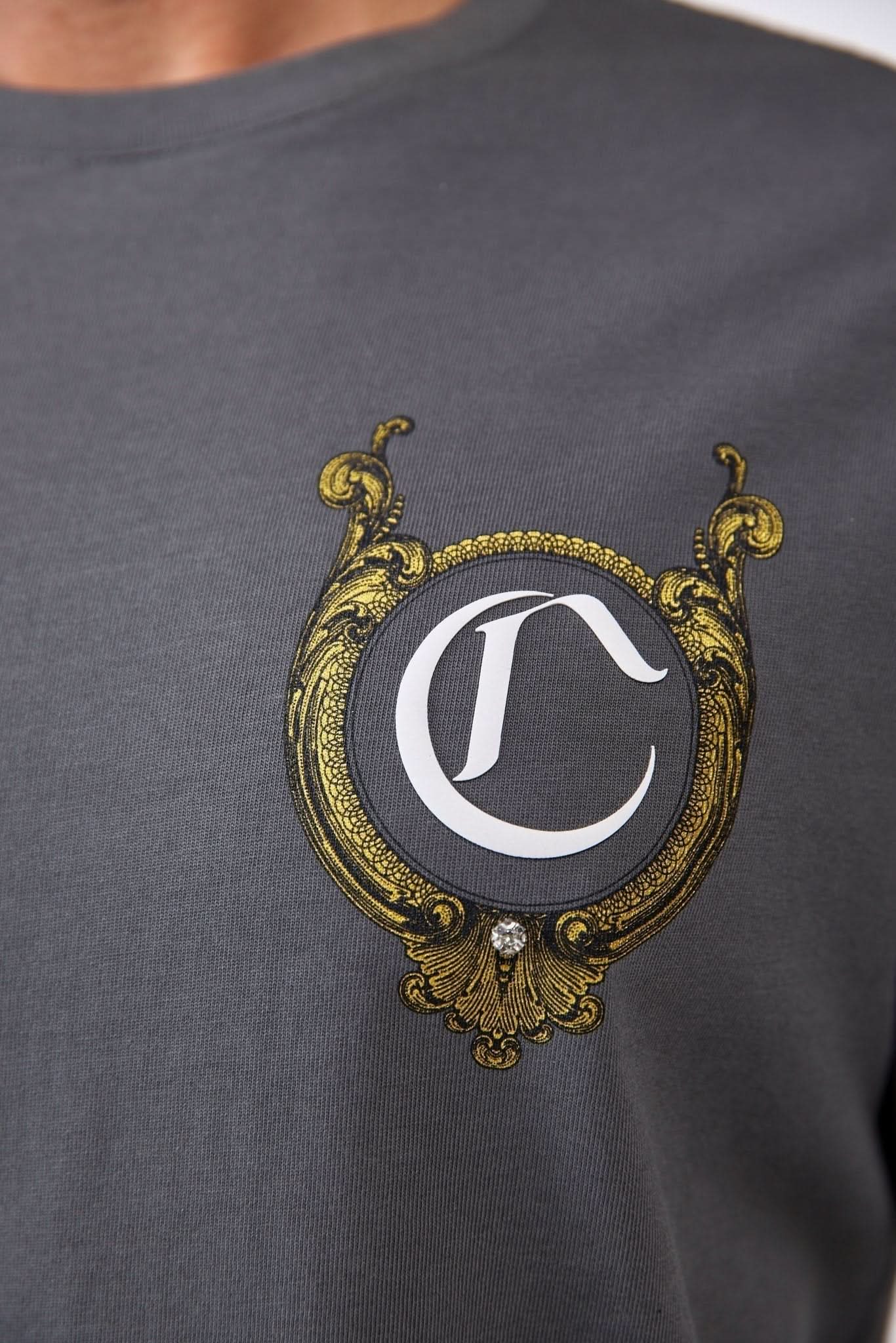 CAMISETA MASCULINO CUPOLA GRIS OSCURO CLEMONT - CLEMONT.CO S.A.S.