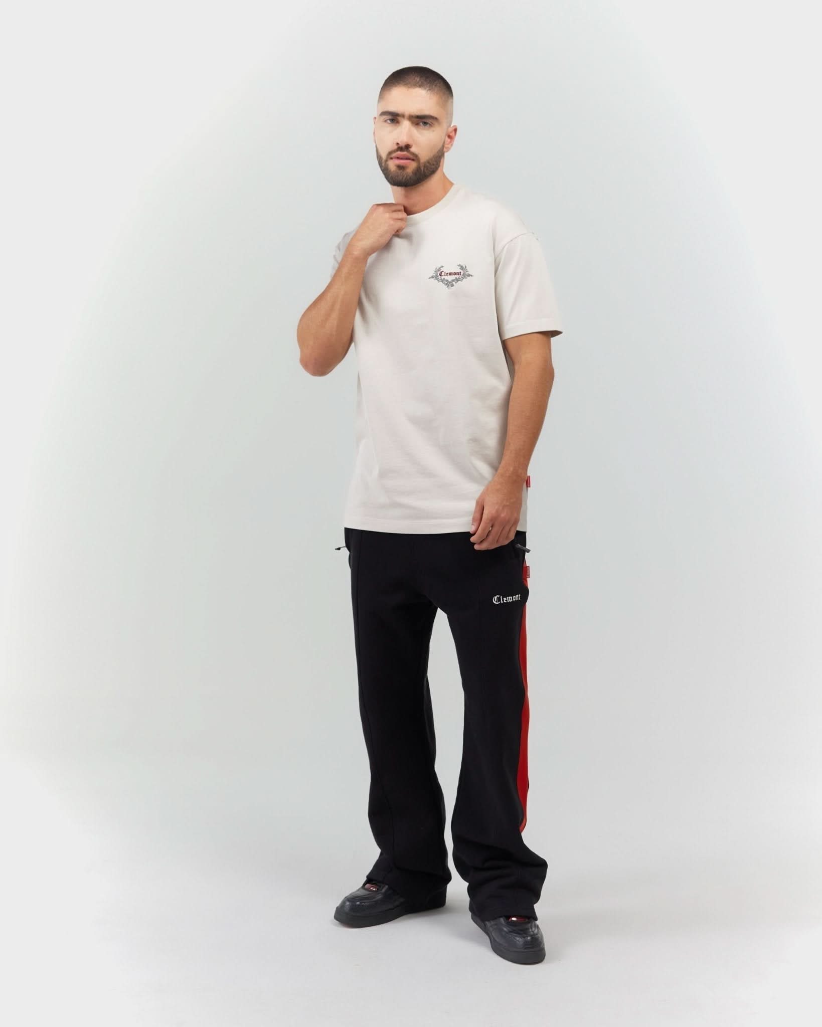 T - SHIRT MEN RADIOSITÁ SILVER CLEMONT - CLEMONT.CO S.A.S.