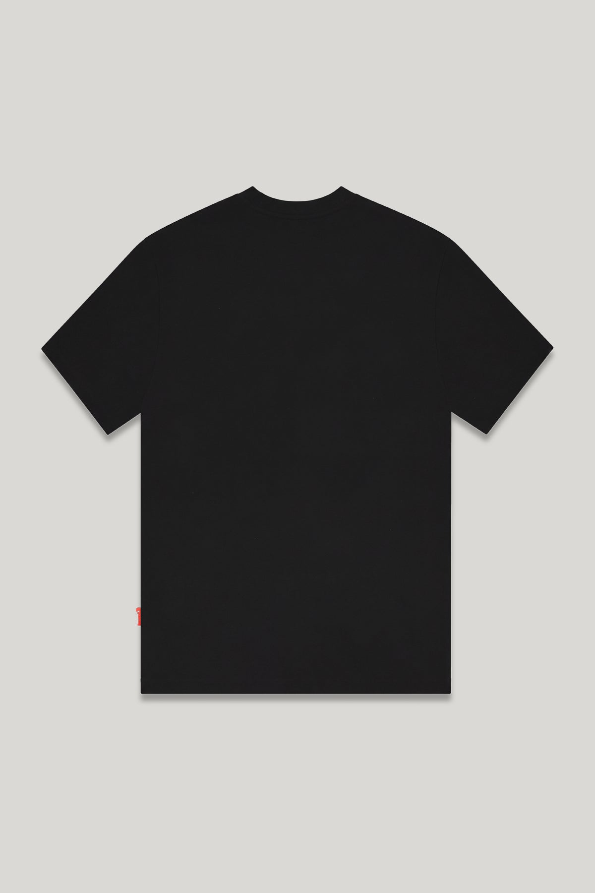 CAMISETA HOMBRE ONORATO CLEMONT-6