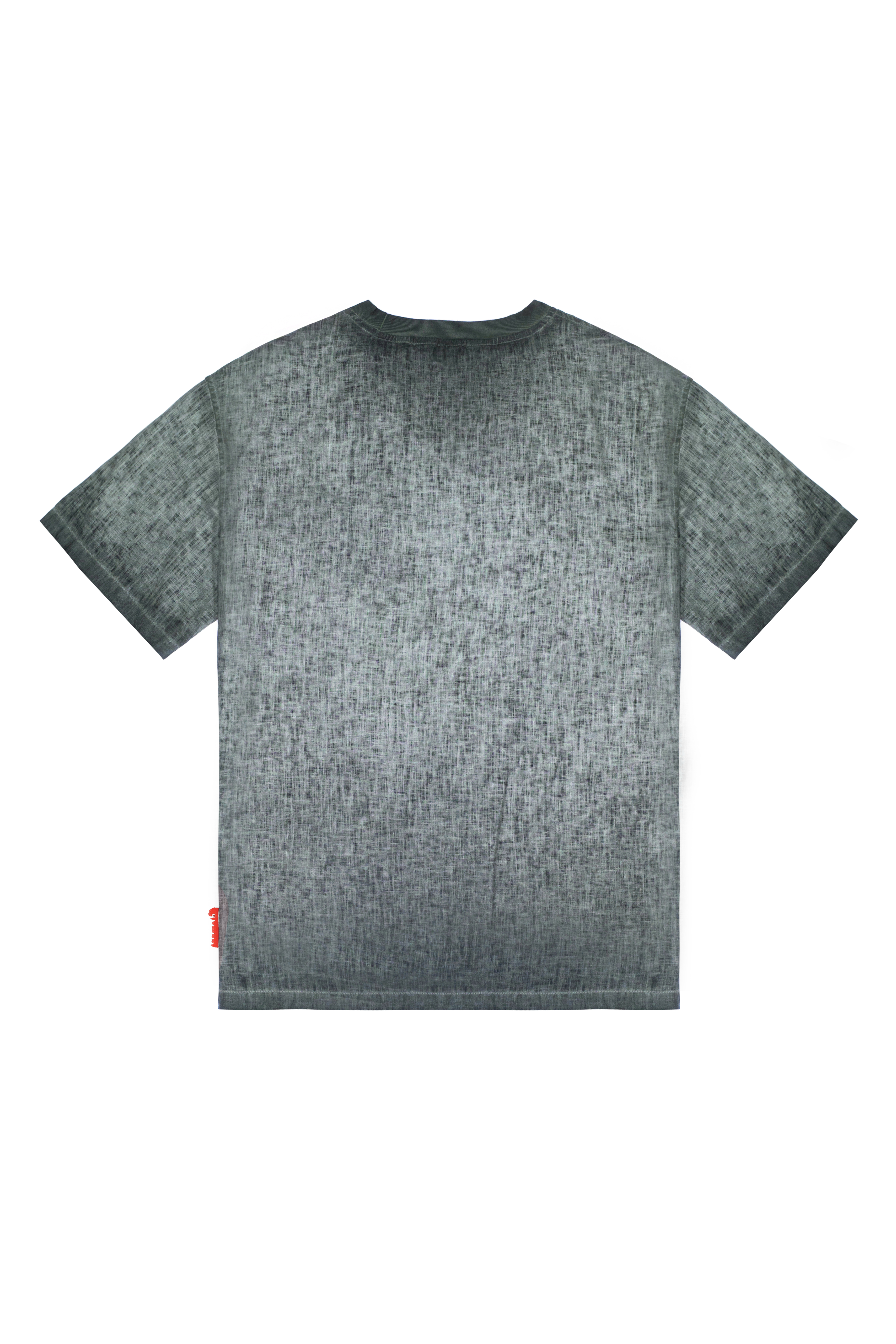 CAMISETA OVERSIZED MASCULINO PETRA VERDE CLEMONT