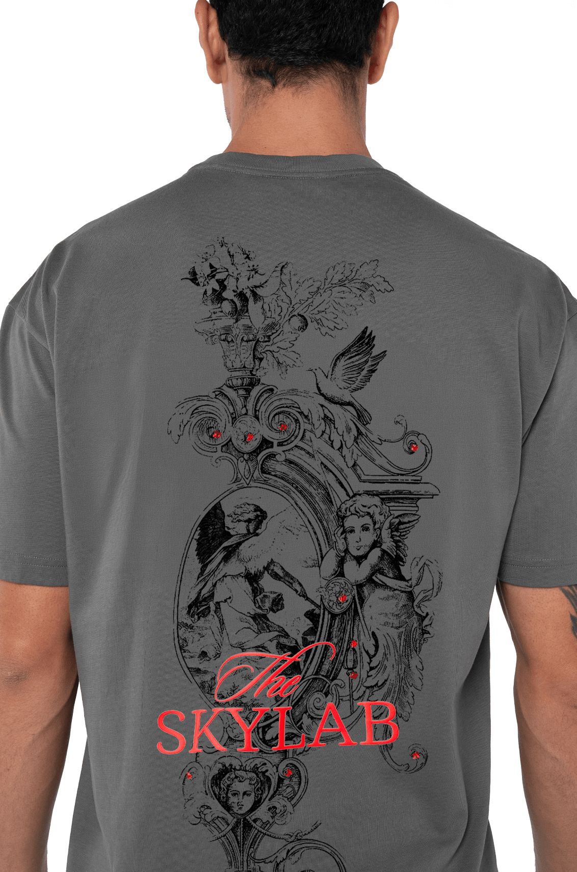 CAMISETA HOMBRE PAURA GRIS CLEMONT - Clemont Oficial