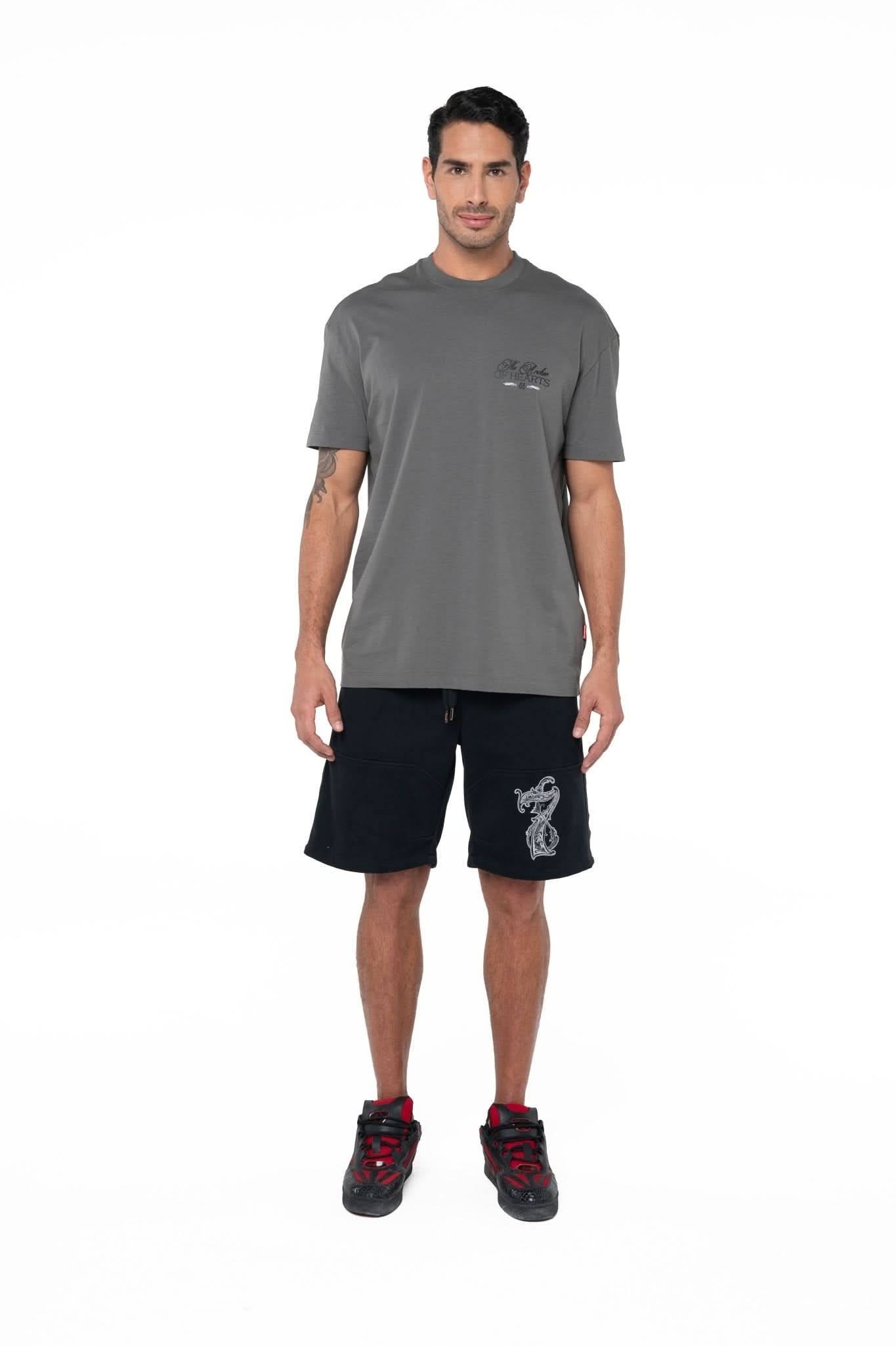 CAMISETA MASCULINA DIMORA GRIS CLEMONT - Clemont Oficial