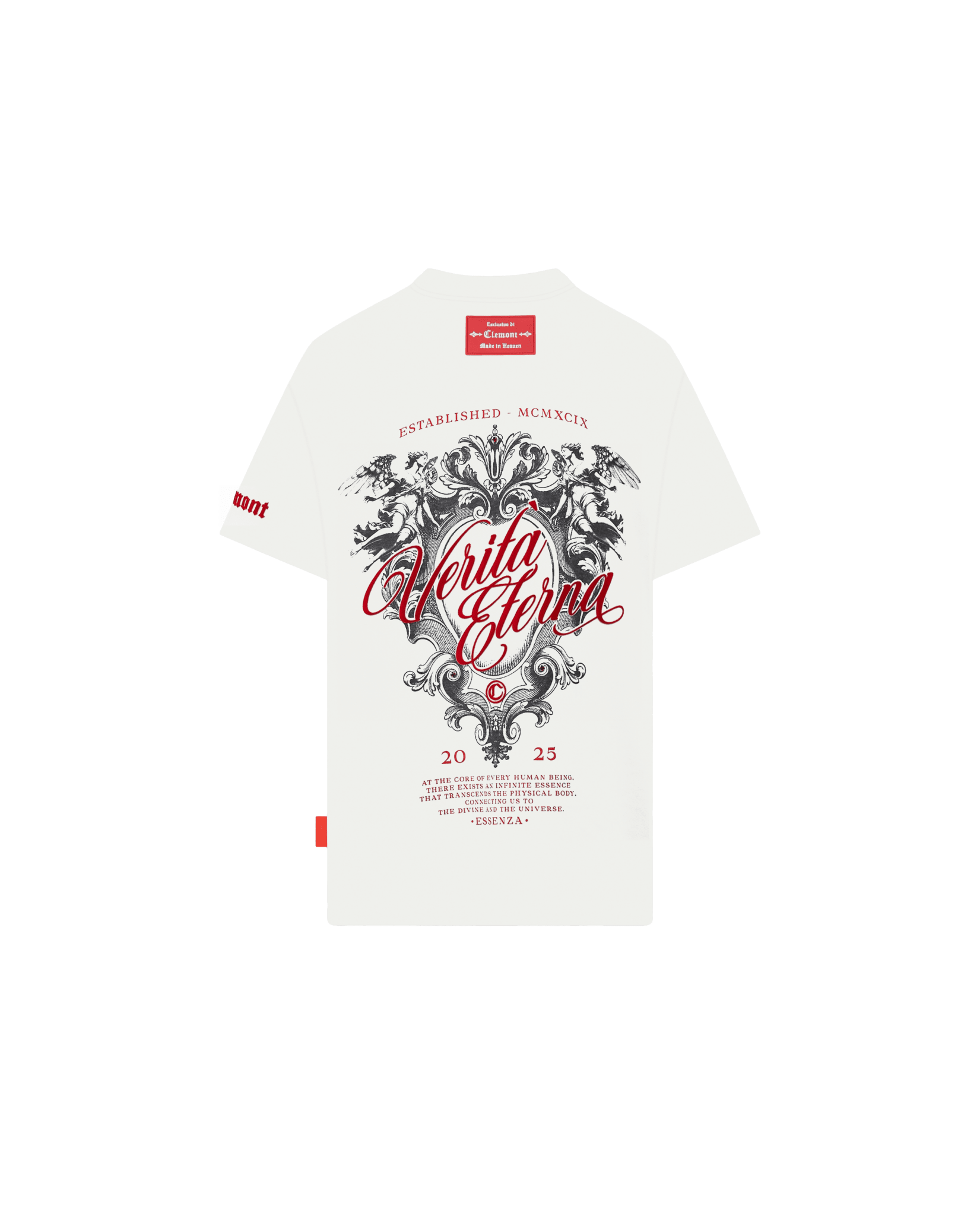 CAMISETA OVERSIZED LUMINARIA COCONUT - CLEMONT.CO S.A.S.