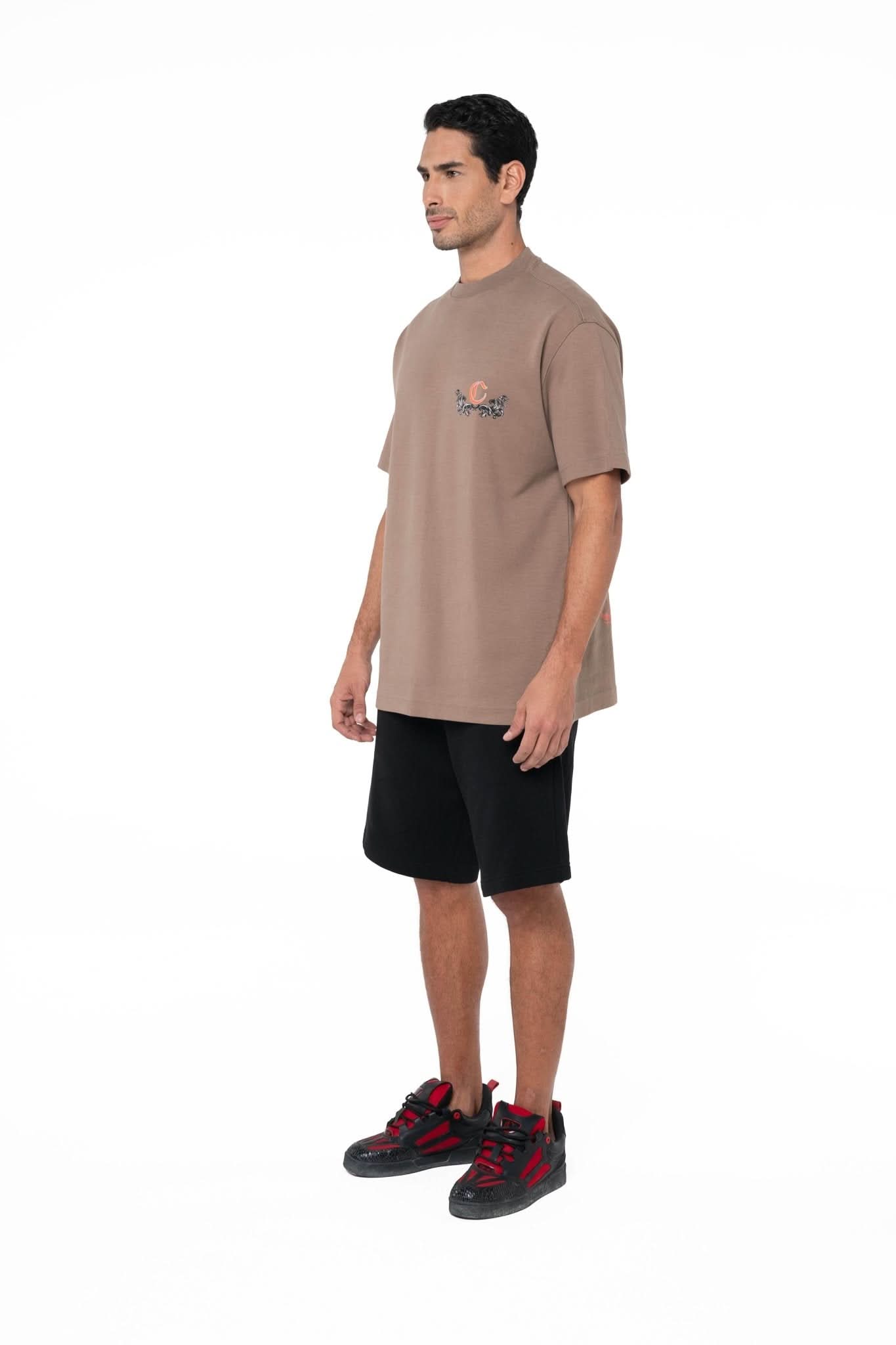 CAMISETA OVERSIZED MASCULINO PASSAGGIO TAUPE CLEMONT - Clemont Oficial